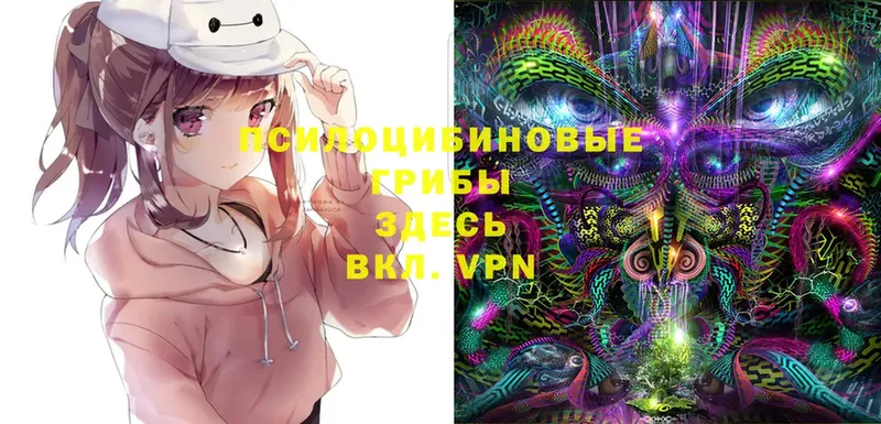 Галлюциногенные грибы Cubensis  Волчанск 